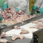 How The Food Industry Fools You – Factory Chickens