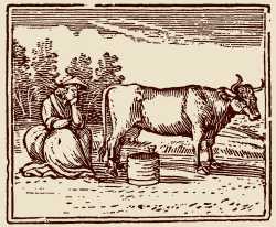Milkmaid and Cow