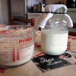 How to Make Milk Kefir at Home