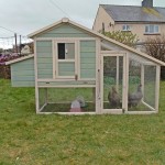 Low Cost Hens - Finding Cheap Hens and Housing for them