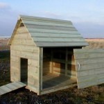 Duck Housing – Accommodation and Enclosed Runs