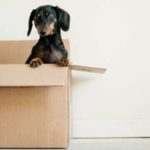 Eco-friendly Guide To Moving House